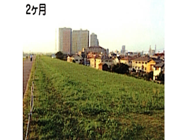 ベンネット®（外観上）全面で分解