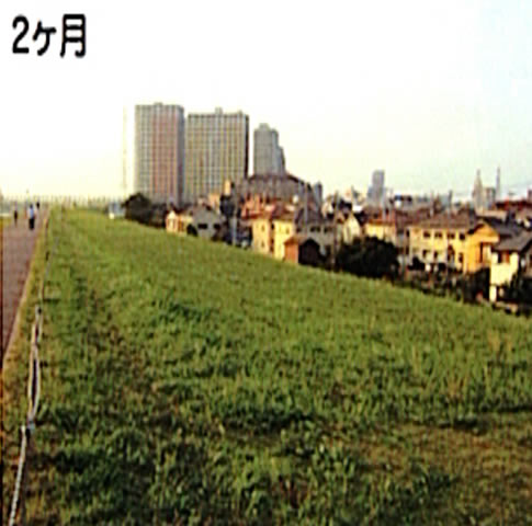 ベンネット®（外観上）全面で分解