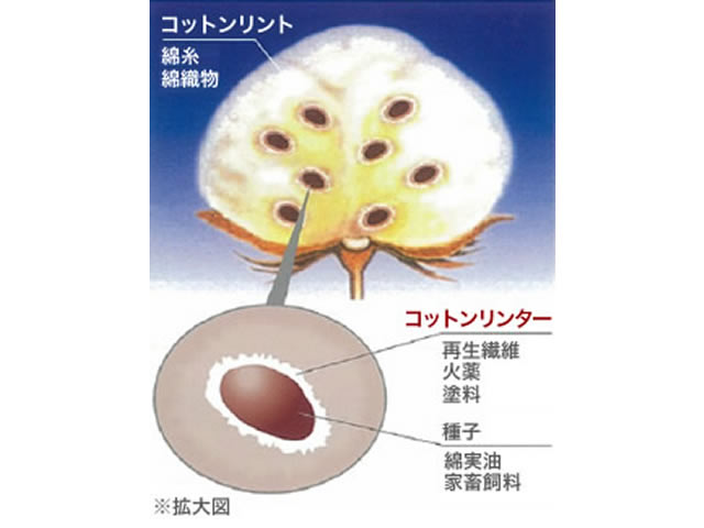 ベンネット®の用途