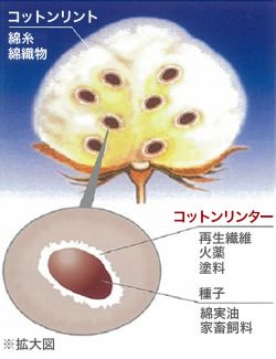 ベンネット®の用途