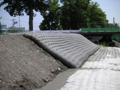 CXタイプ