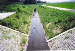 ダム湛水面枠内工(CP100M)