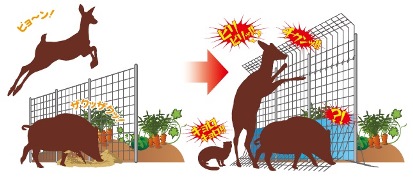 ビックリメッシュの特長